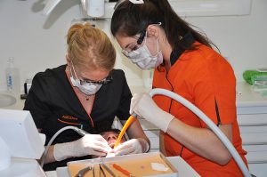 Soins dentaires généraux à Echallens | Détartrage